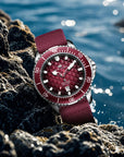 Seagull Ocean Series Pro "Dragon Kings of the Four Seas" Dragon-scale Dial 300m Waterproof Dive Watch 44mm