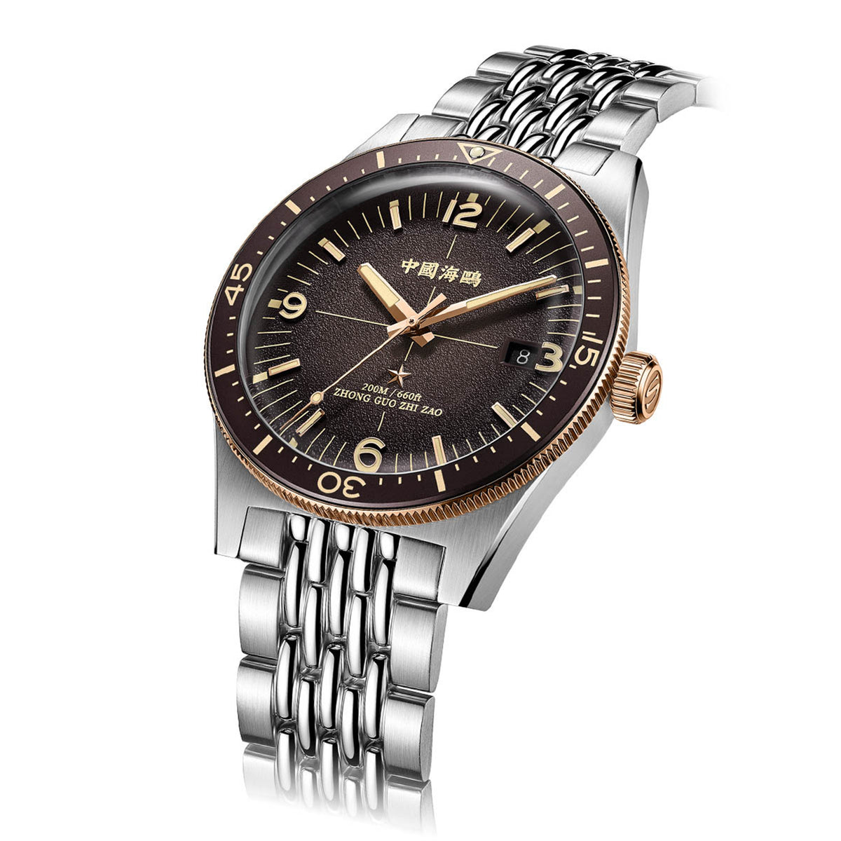 Seagull Ocean Series 1984 Antarctic Expedition 200m Waterproof Dive Watch 40mm