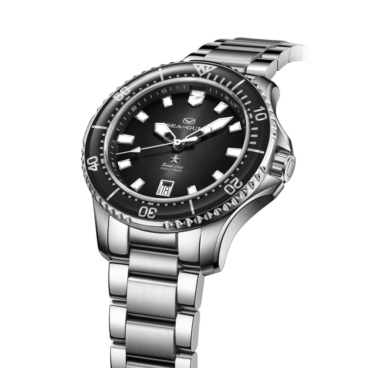 Seagull Ocean Series Pro 300m Waterproof Dive Watch 41mm
