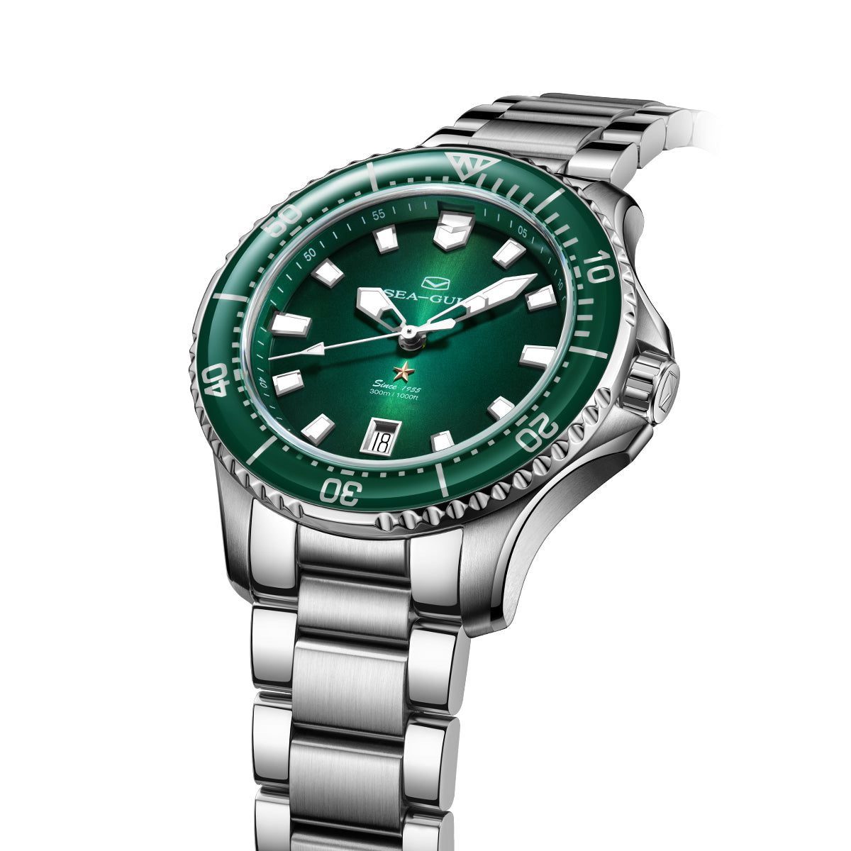 Seagull Ocean Series Pro 300m Waterproof Dive Watch 41mm